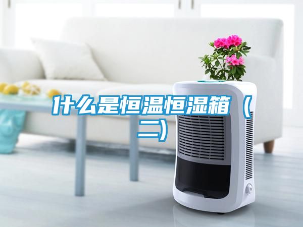 什么是恒温恒湿箱（二)