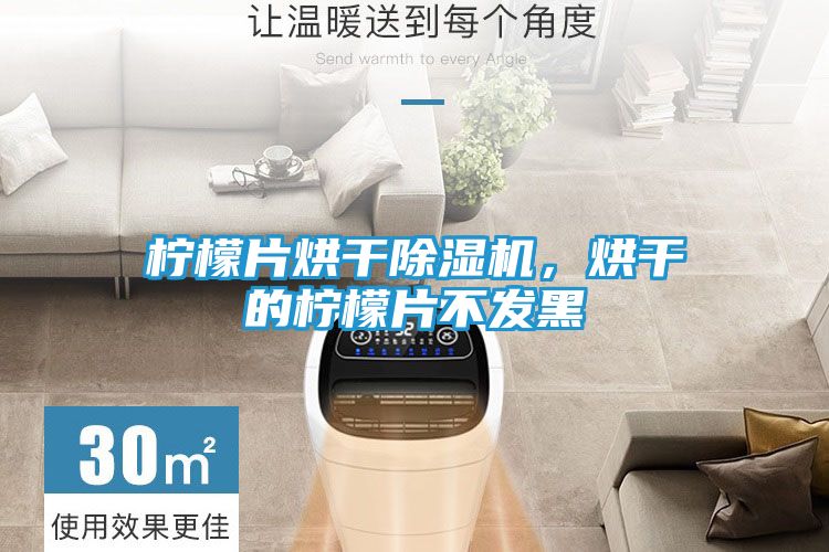 柠檬片烘干除湿机，烘干的柠檬片不发黑