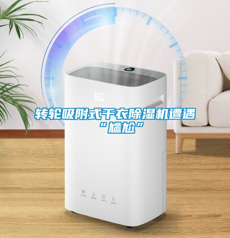 转轮吸附式干衣除湿机遭遇“尴尬”