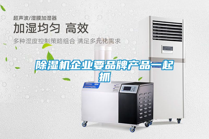 除湿机企业要品牌产品一起抓