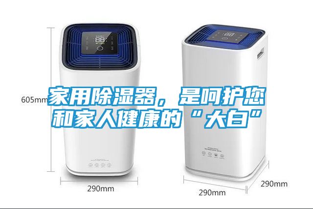 家用除湿器，是呵护您和家人健康的“大白”