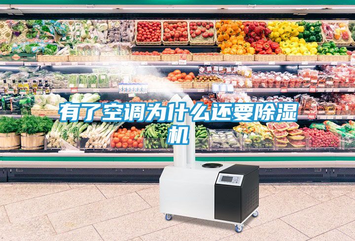 有了空调为什么还要除湿机