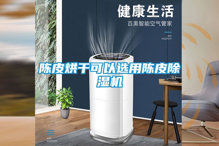 陈皮烘干可以选用陈皮除湿机