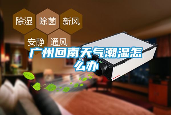 广州回南天气潮湿怎么办