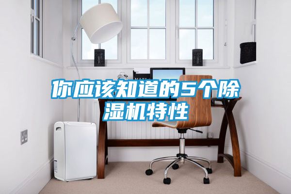 你应该知道的5个除湿机特性