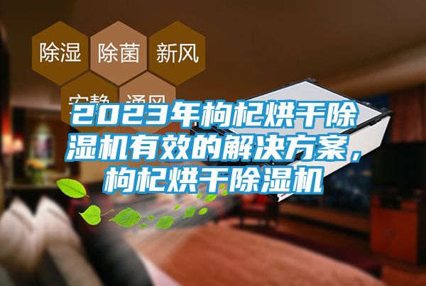 2023年枸杞烘干除湿机有效的解决方案，枸杞烘干除湿机