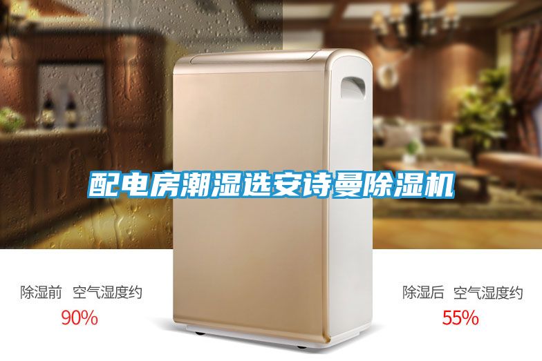 配电房潮湿选安诗曼除湿机