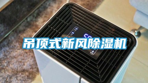 吊顶式新风除湿机