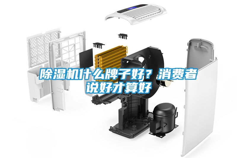 除湿机什么牌子好？消费者说好才算好
