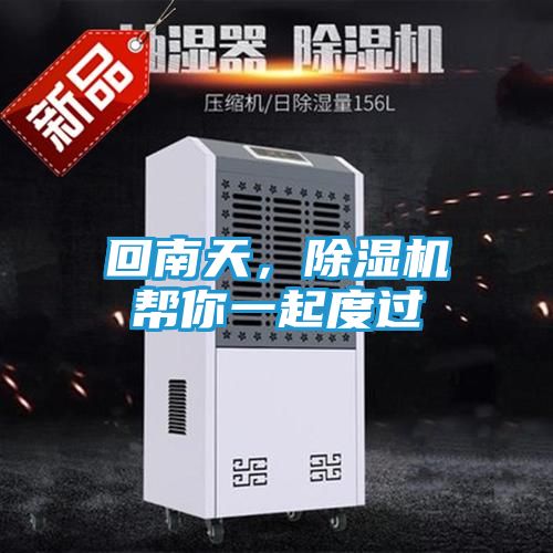 回南天,除湿机帮你一起度过