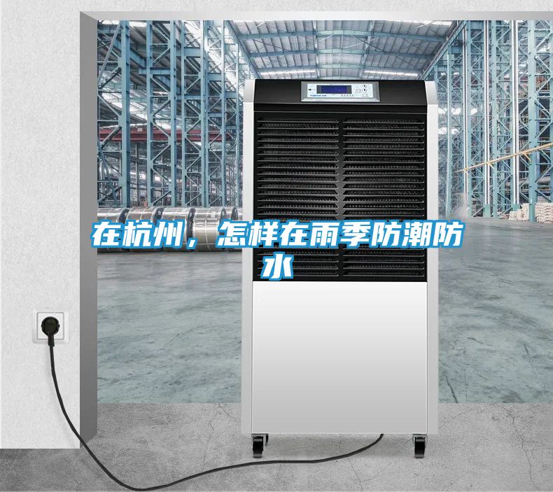 在杭州，怎样在雨季防潮防水