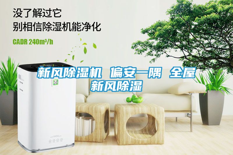 新风除湿机 偏安一隅 全屋新风除湿
