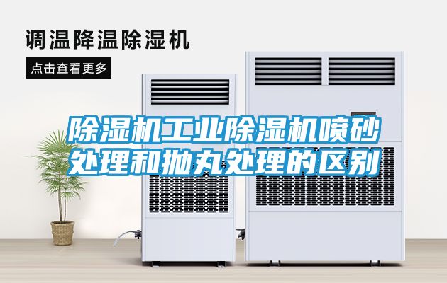除湿机工业除湿机喷砂处理和抛丸处理的区别