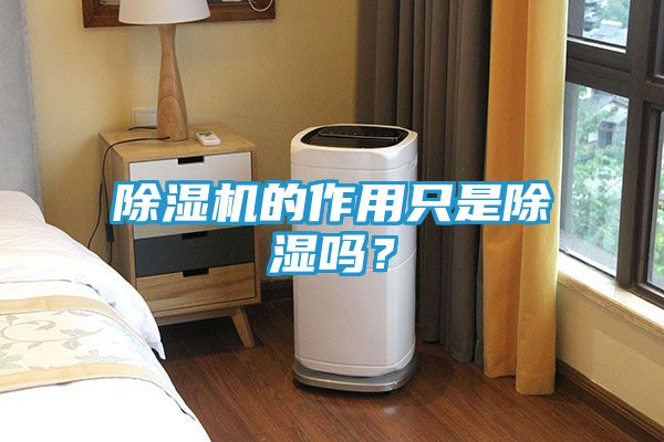 除湿机的作用只是除湿吗？