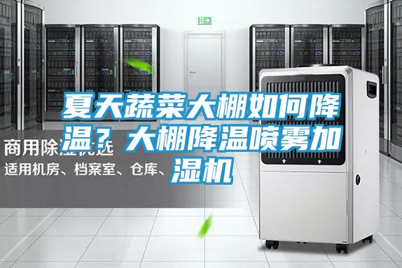 夏天蔬菜大棚如何降温？大棚降温喷雾加湿机