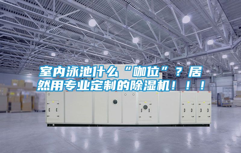 室内泳池什么“咖位”？居然用专业定制的除湿机！！！
