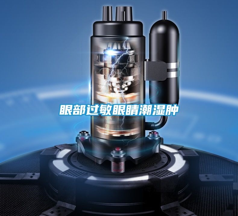 眼部过敏眼睛潮湿肿