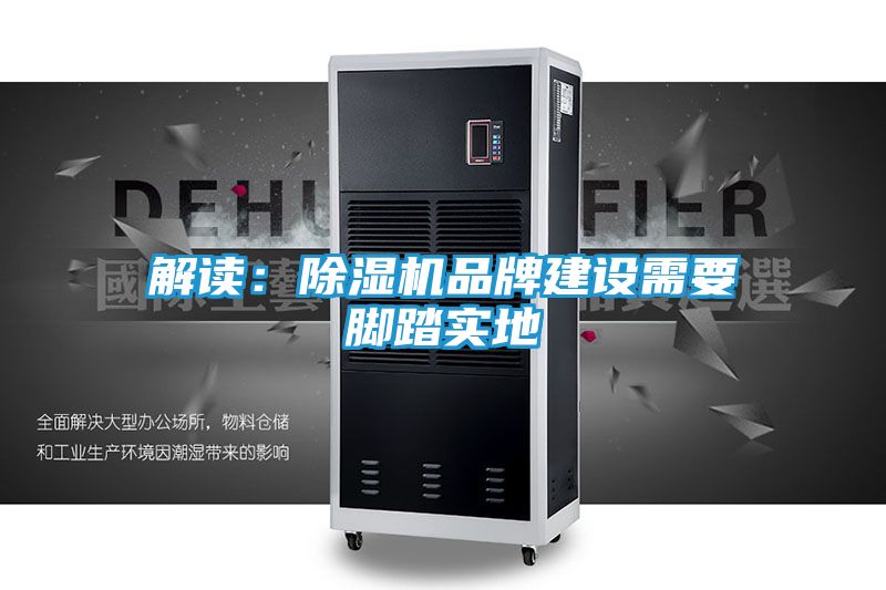 解读:除湿机品牌建设需要脚踏实地