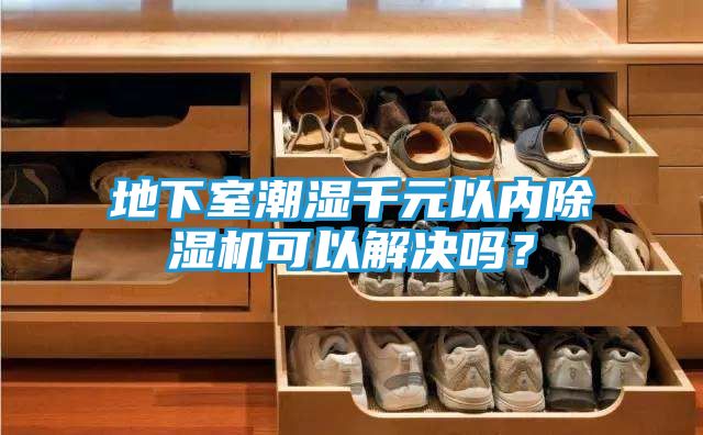地下室潮湿千元以内除湿机可以解决吗？