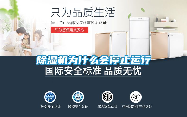 除湿机为什么会停止运行