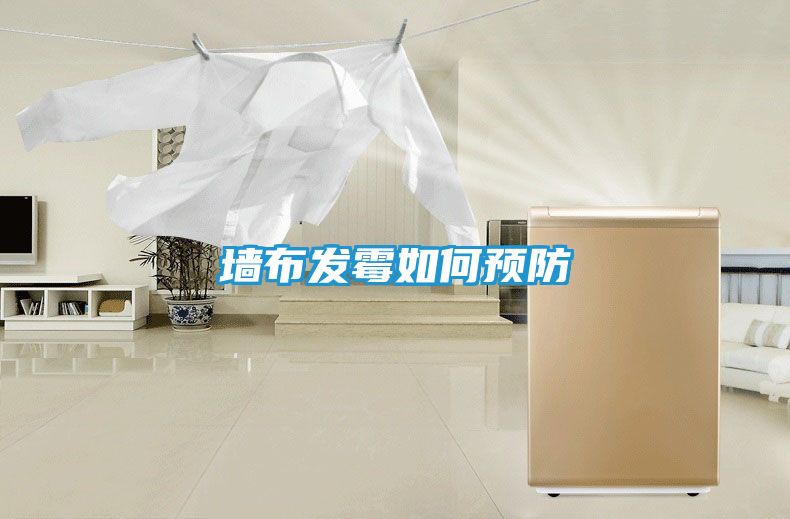 墙布发霉如何预防