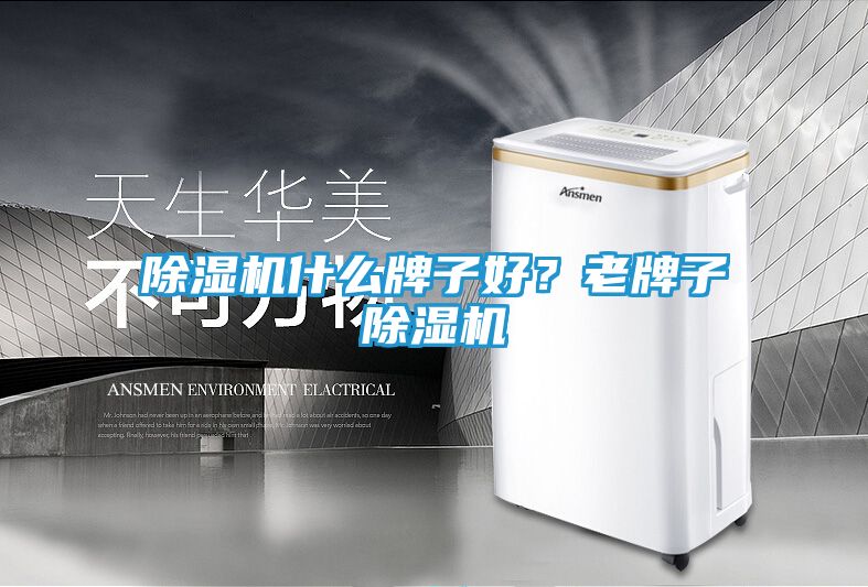 除湿机什么牌子好？老牌子除湿机