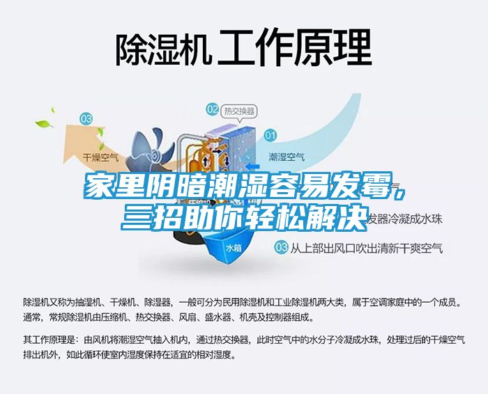 家里阴暗潮湿容易发霉，三招助你轻松解决