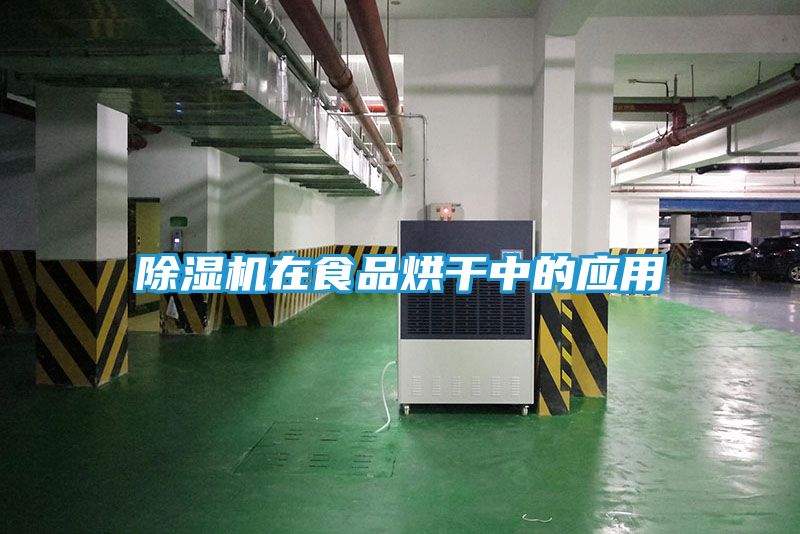 除湿机在食品烘干中的应用