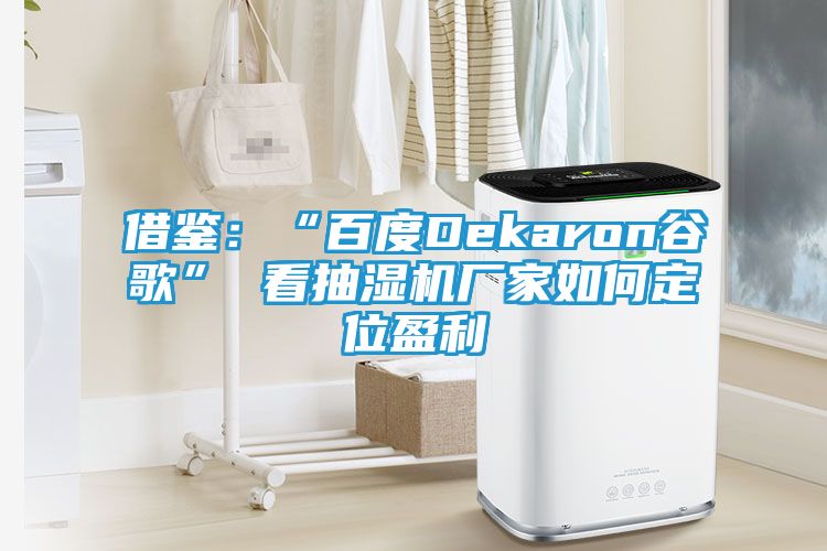 借鉴：“百度Dekaron谷歌” 看抽湿机厂家如何定位盈利