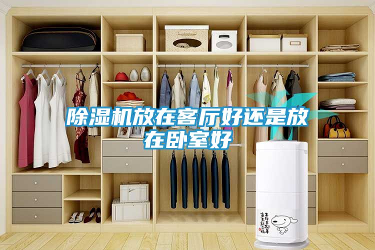 除湿机放在客厅好还是放在卧室好