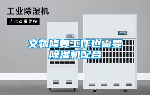 文物修复工作也需要除湿机配合