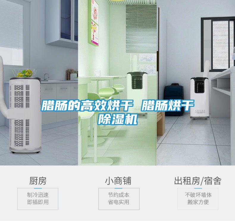 腊肠的高效烘干 腊肠烘干除湿机