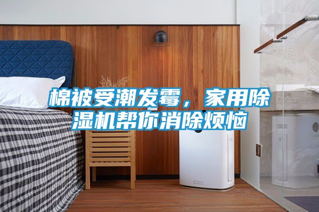 棉被受潮发霉,家用除湿机帮你消除烦恼