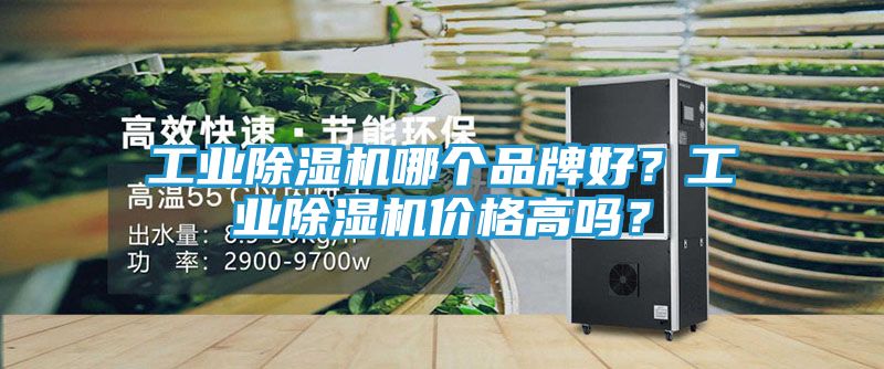 工业除湿机哪个品牌好？工业除湿机价格高吗？
