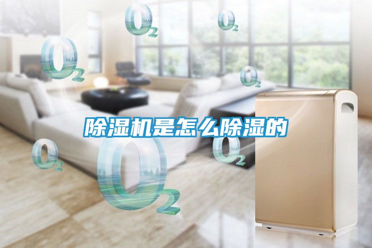 除湿机是怎么除湿的