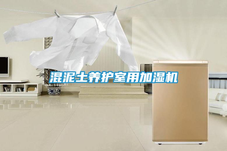 混泥土养护室用加湿机