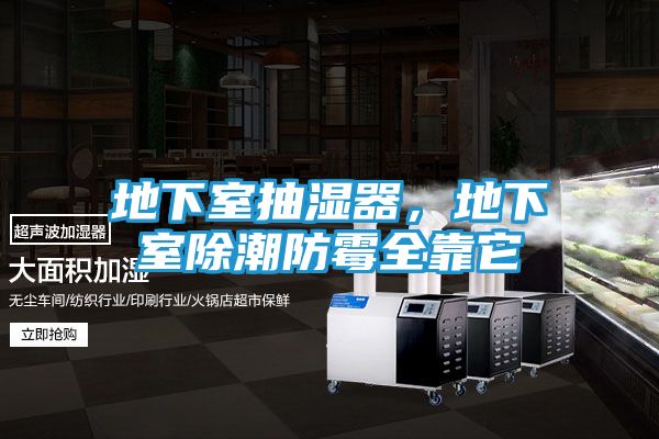 地下室抽湿器，地下室除潮防霉全靠它