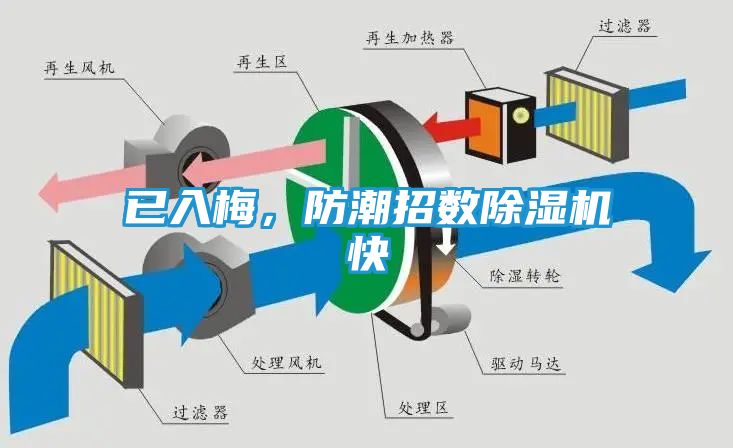 已入梅，防潮招数除湿机快