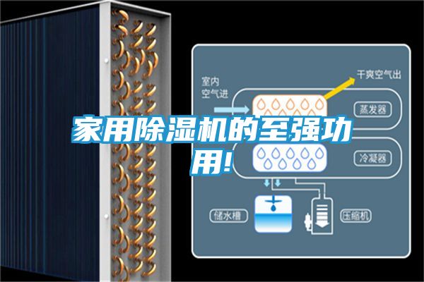 家用除湿机的至强功用!