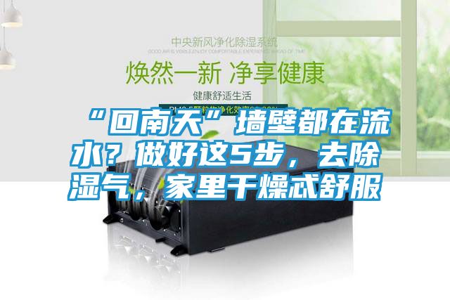 “回南天”墙壁都在流水?做好这5步,去除湿气,家里干燥忒舒服