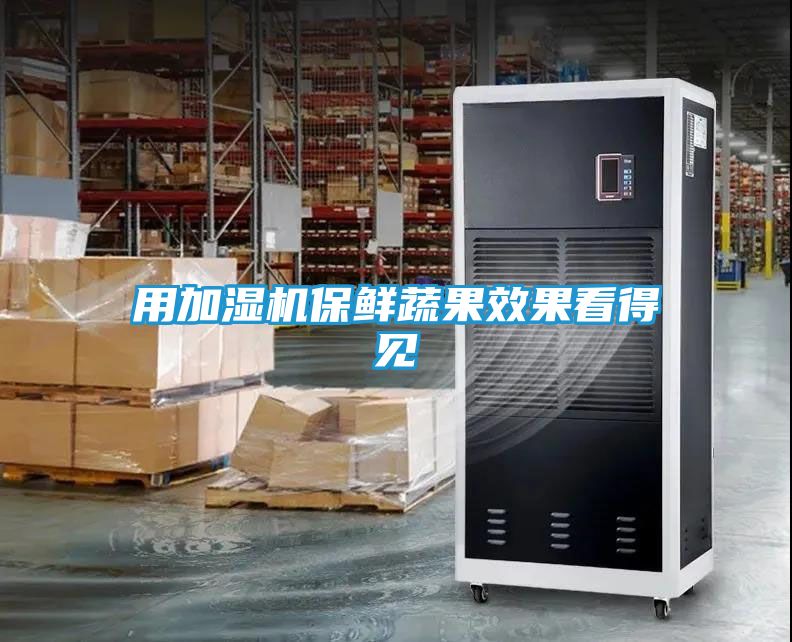 用加湿机保鲜蔬果效果看得见