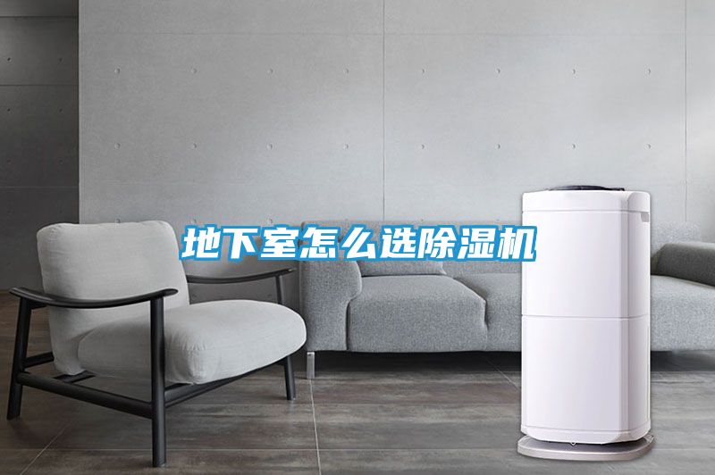 地下室怎么选除湿机