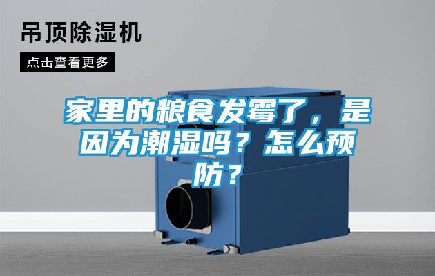 家里的粮食发霉了,是因为潮湿吗?怎么预防?