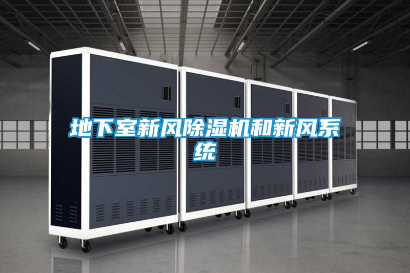 地下室新风除湿机和新风系统