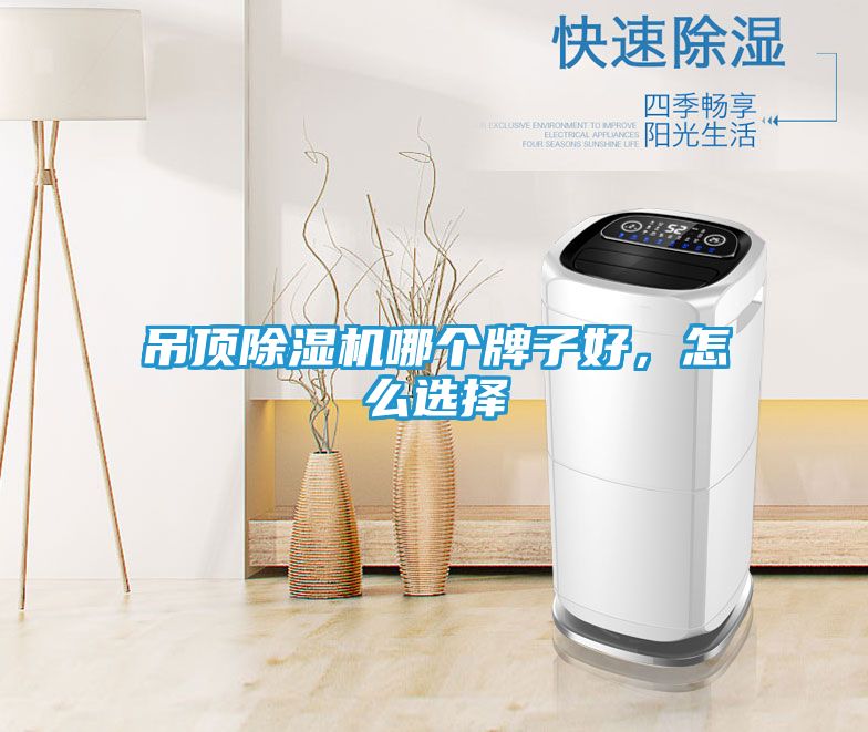 吊顶除湿机哪个牌子好,怎么选择