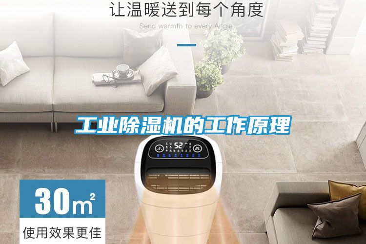 工业除湿机的工作原理