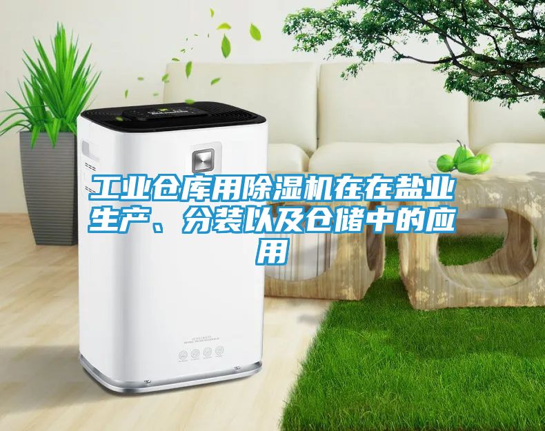 工业仓库用除湿机在在盐业生产、分装以及仓储中的应用