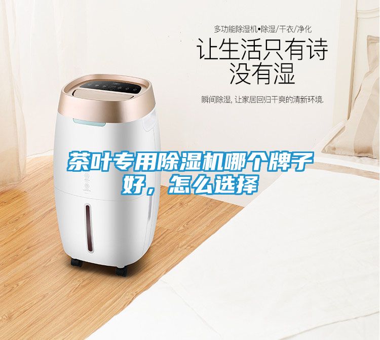 茶叶专用除湿机哪个牌子好，怎么选择
