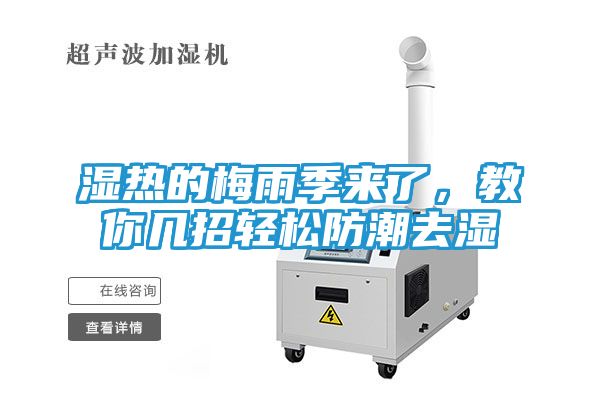 湿热的梅雨季来了,教你几招轻松防潮去湿