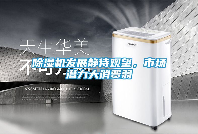 除湿机发展静待观望，市场潜力大消费弱